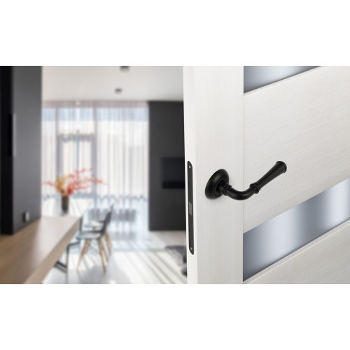 Ручка ADDEN BAU ВELLA A175 BLACK цвет черный матовый
