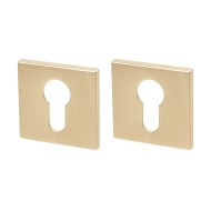 Накладка Armadillo (Армадилло) под цилиндр ET.K.YM FSG-39 флор. золото 