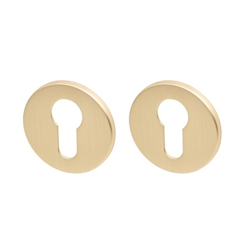 Накладка Armadillo (Армадилло) под цилиндр ET.R.YM FSG-39 флор. золото 