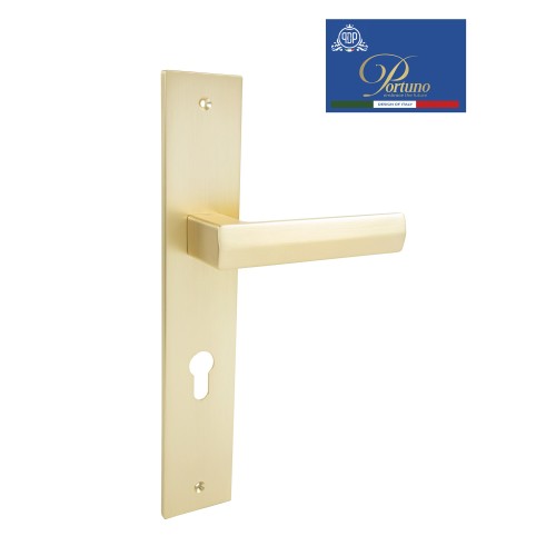 Дверная ручка на планке под цилиндр PORTUNO Alba 721.07CYL Матовое золото