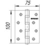 Петля универсальная Fuaro 4BB 100x75x2,5 SB (матовое золото) (Фуаро)