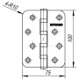Петля универсальная Fuaro 4BB-R10 100x75x2,5 PN (перл.никель) (Фуаро)