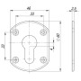 Декоративная накладка на цилиндр Fuaro ESC031-SN-3 (МАТ НИКЕЛЬ) (2 шт) (Фуаро)