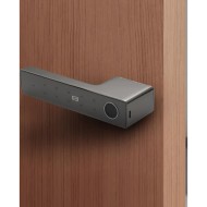 Умная дверная ручка-замок mart 01 Platinum Gray с отпечатком пальца и поддержкой Smart Life цвет платиново-серый